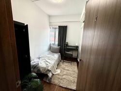 The Springfield (D16), Terrace #483993391